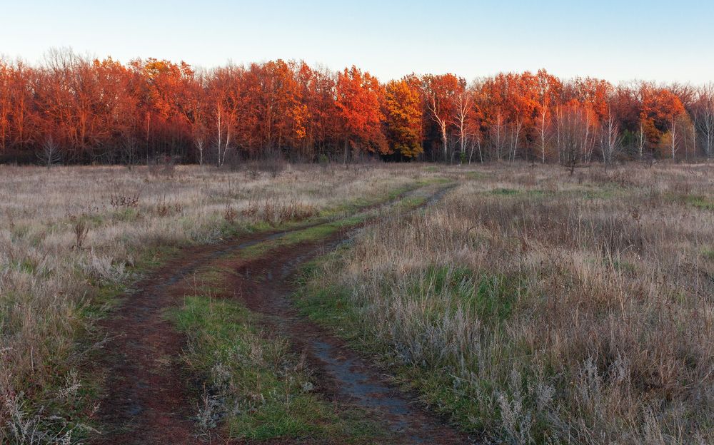 Photograph by Nikolay