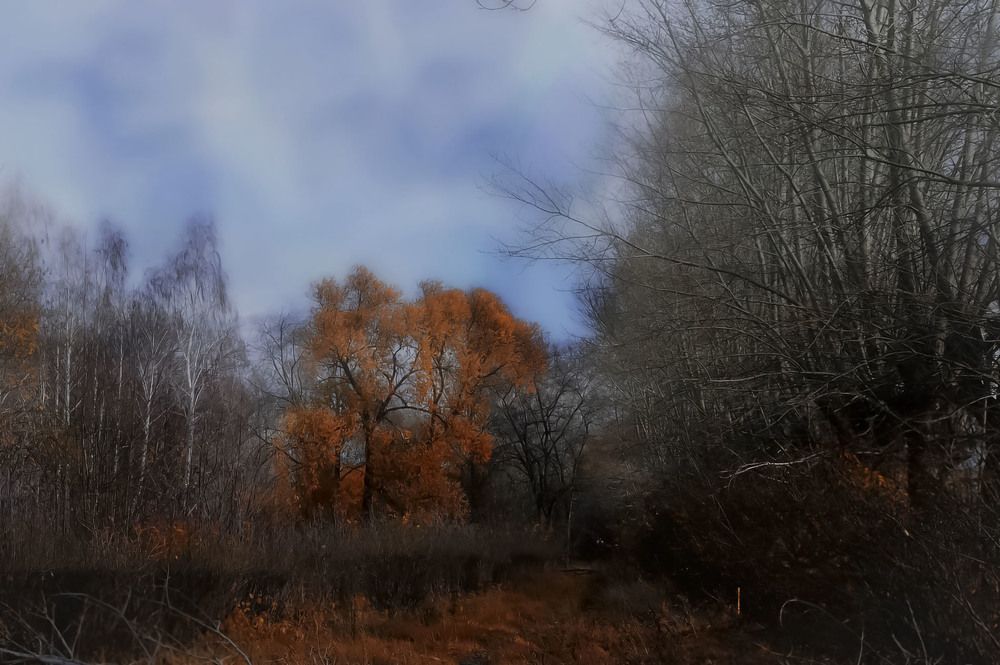 Photograph by Ирина Александрович