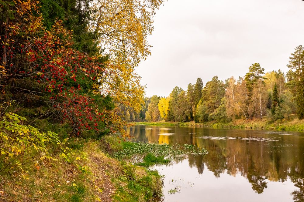 Photograph by Щепанов Дмитрий