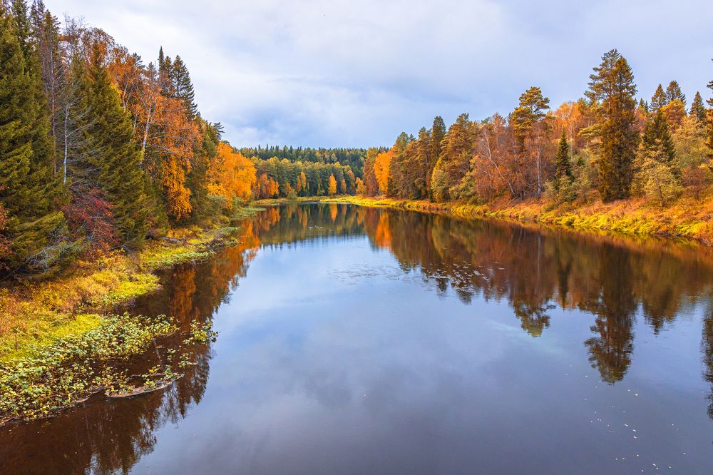 Photograph by Щепанов Дмитрий