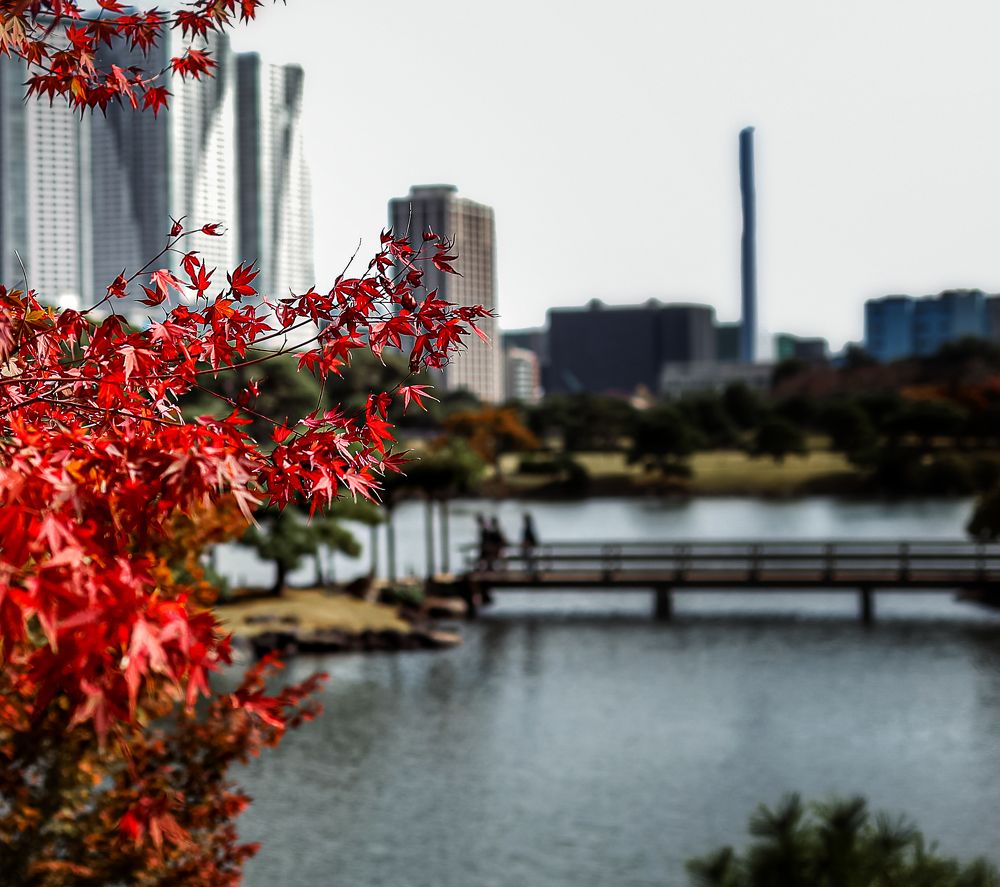 Photograph by Басалаев Евгений