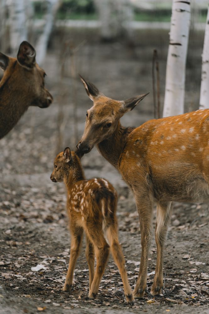 Photograph by Антон Вотяков