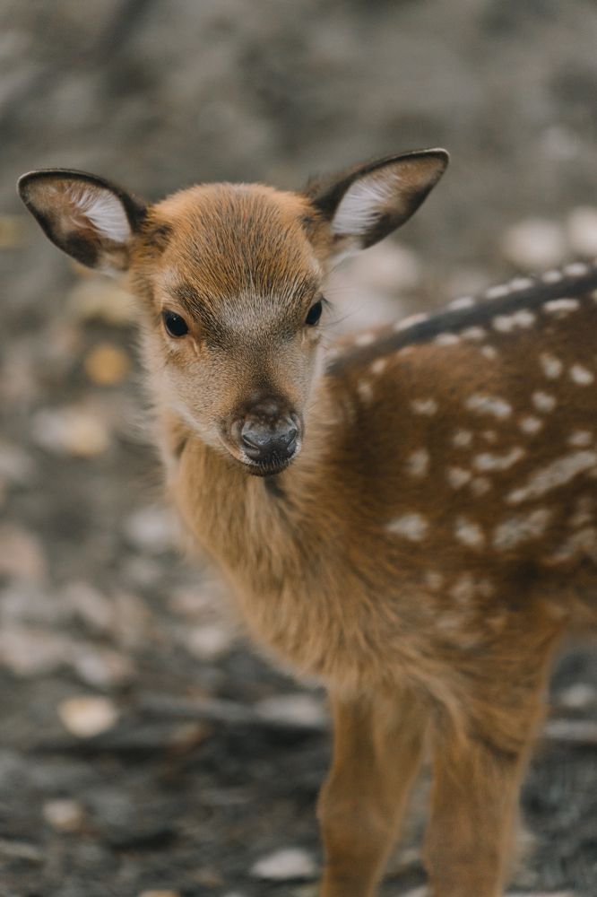 Photograph by Антон Вотяков