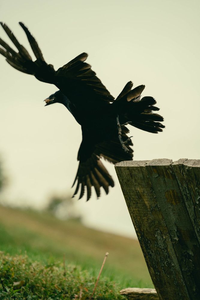 Photograph by Антон Вотяков