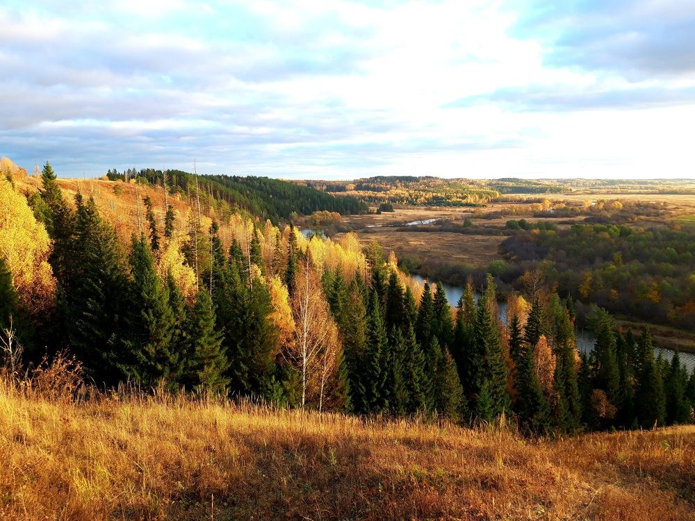Осенняя акварель