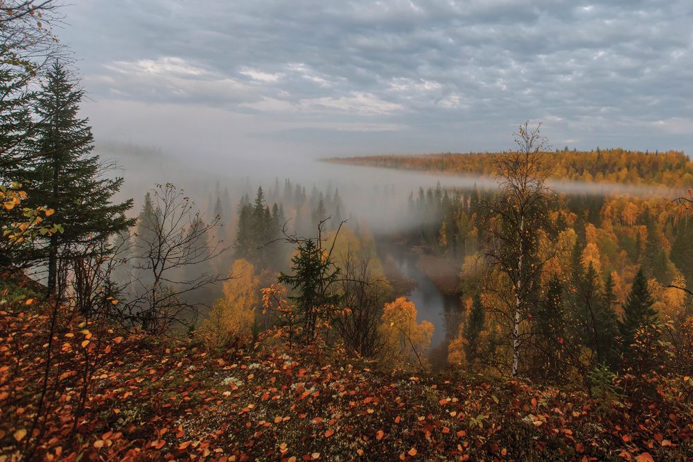 Photograph by Толяныч