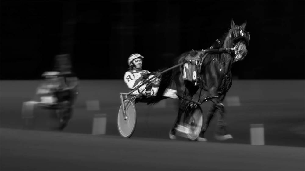 Photograph by Zhenhuan Zhou