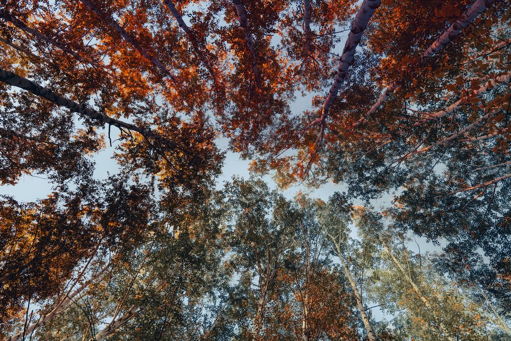 Photograph by Антон Вотяков