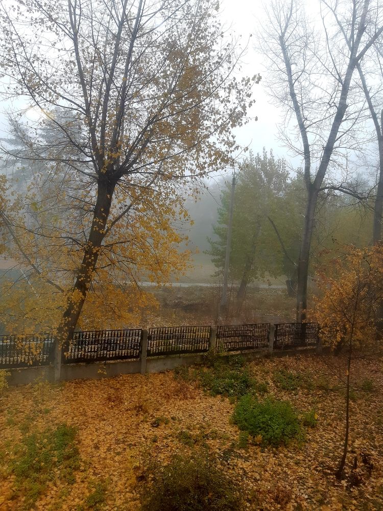 Photograph by Olga Александрова