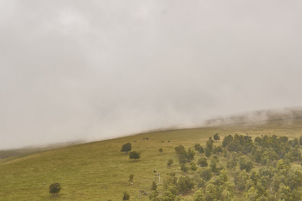 Photograph by Дмитрий Соколов