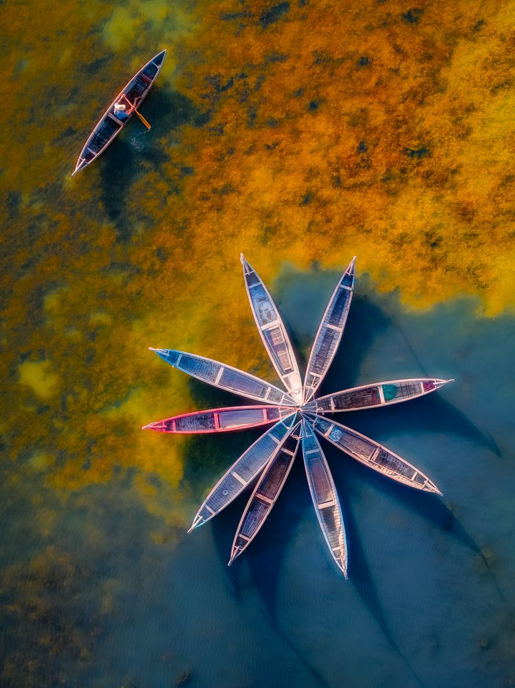 Photograph by Bao Nguyen