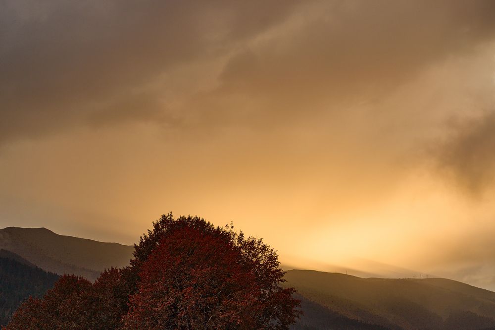 Фотография автора Дмитрий Соколов