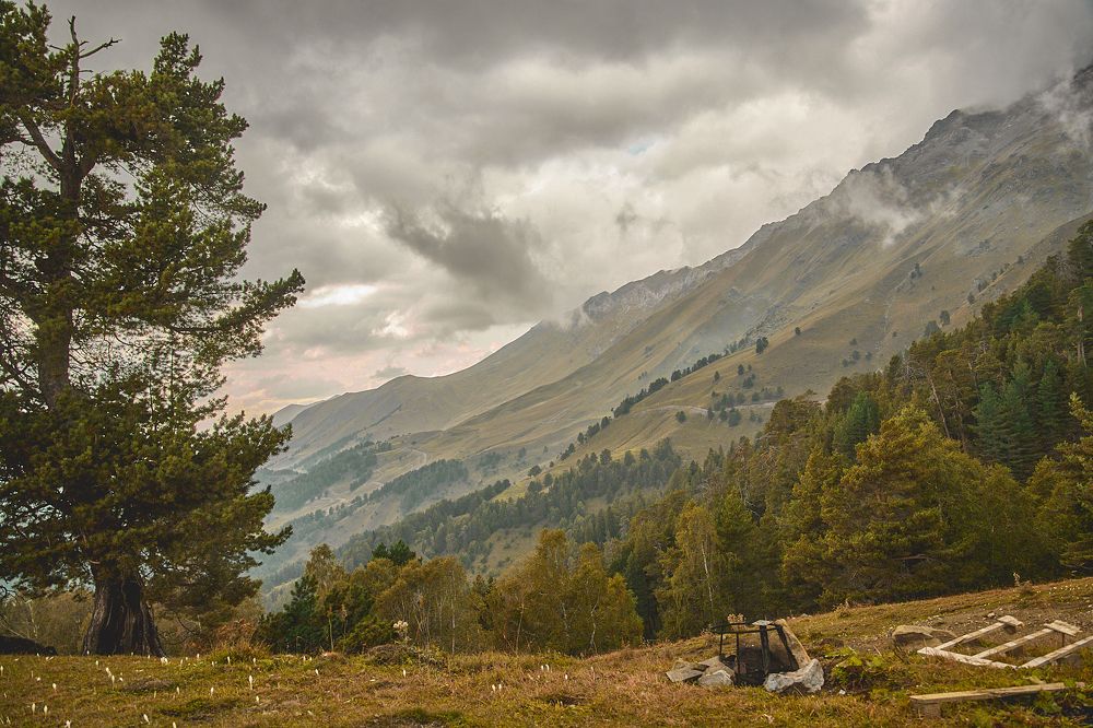 Фотография автора Дмитрий Соколов