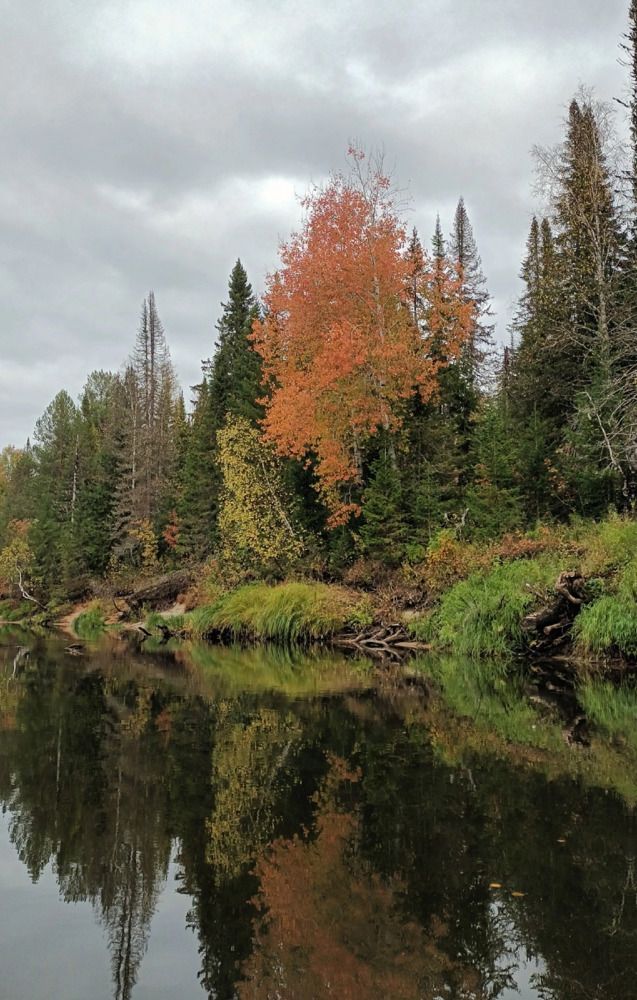 Photograph by Мария