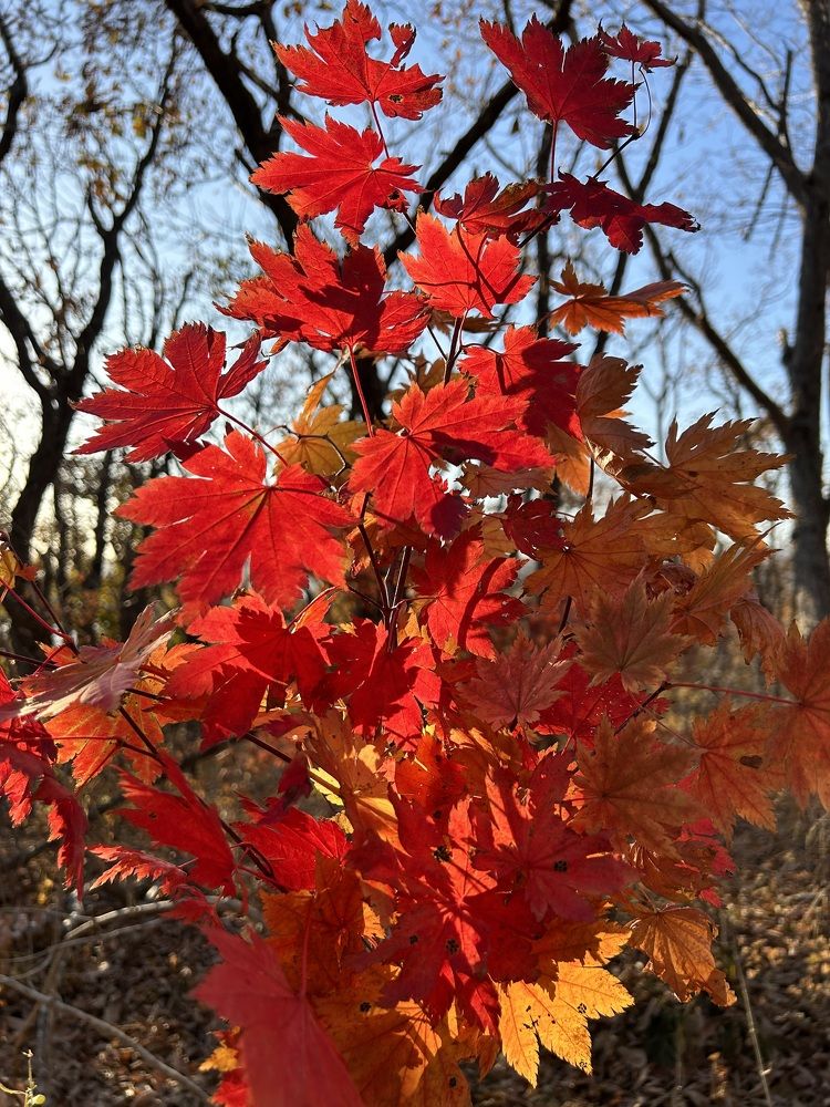 Photograph by Елена Власова