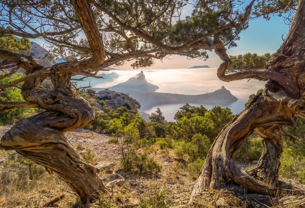 Photograph by Александр Разумов