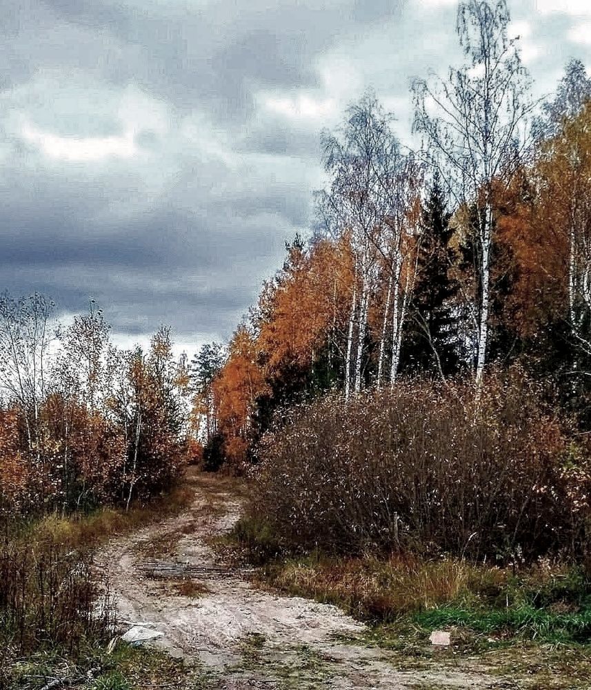 Photograph by Анна Андреевна