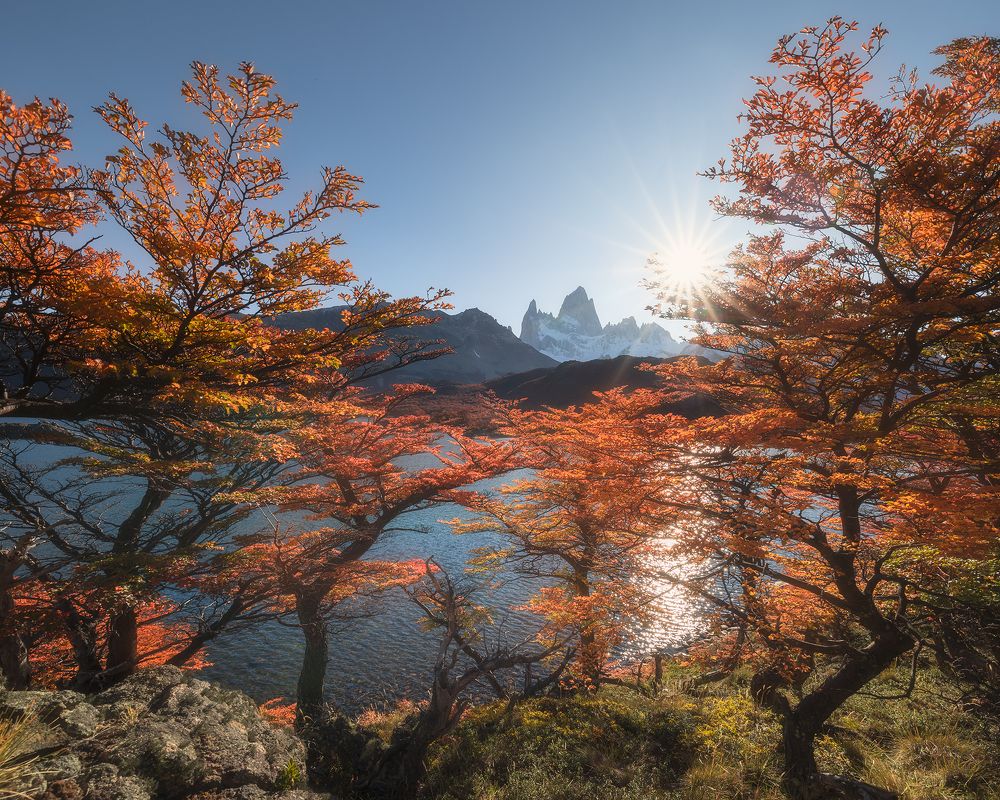 Яркая осень в Патагонии