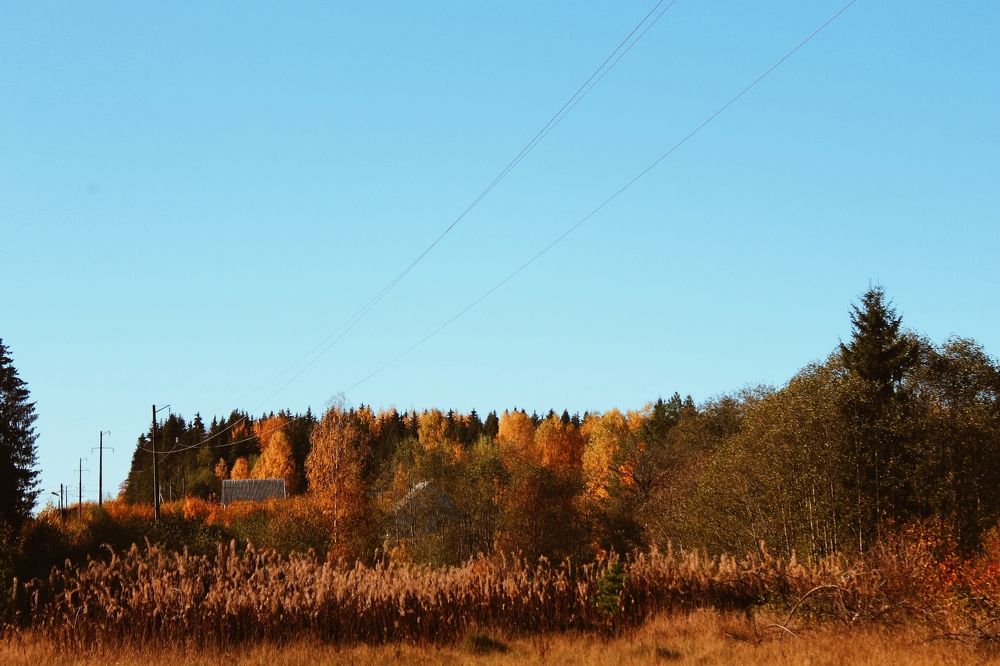 Photograph by Елизавета Силова