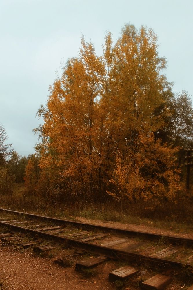 Photograph by Елизавета Силова