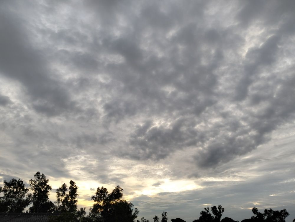 Photo #11073475