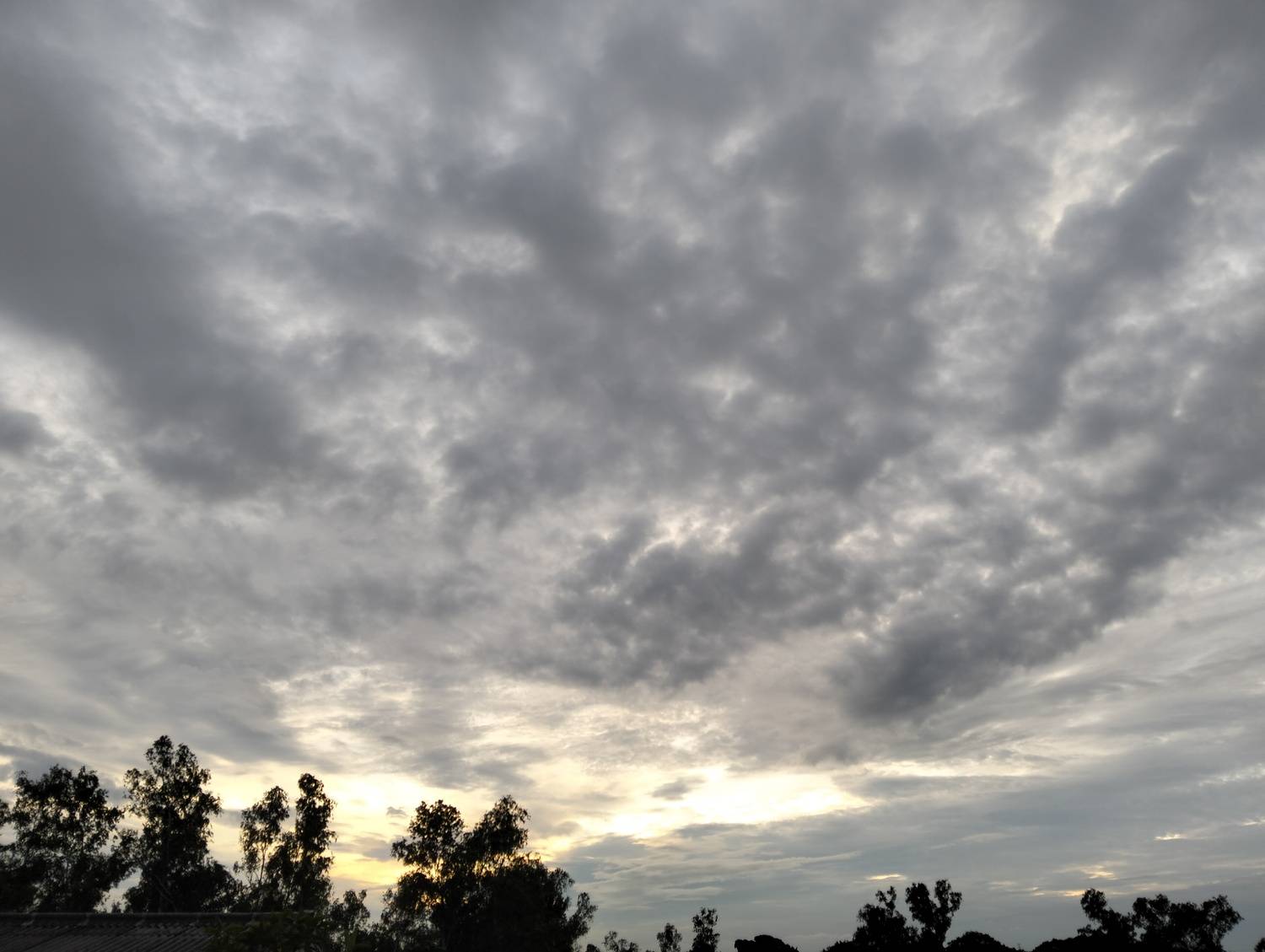 Photo #11073475