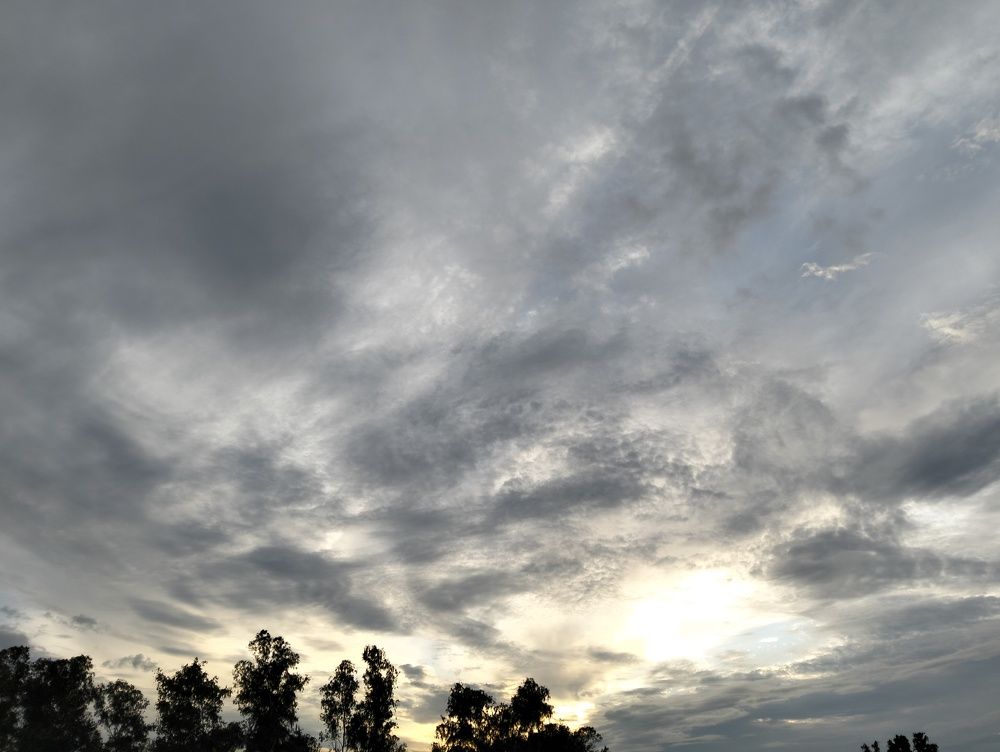 Photo #11073484