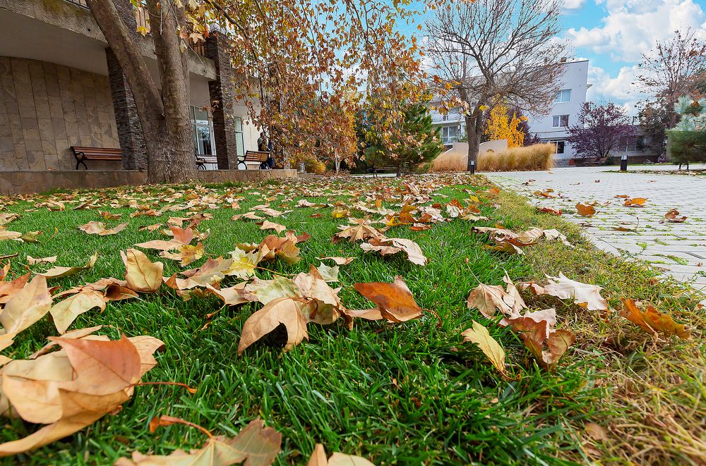 Photograph by Иван Логвинов