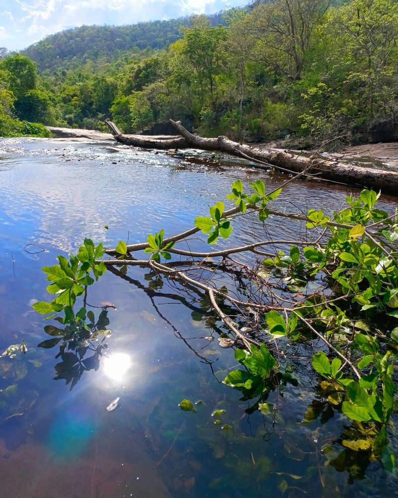 Photograph by Bhargav Pinapatruni