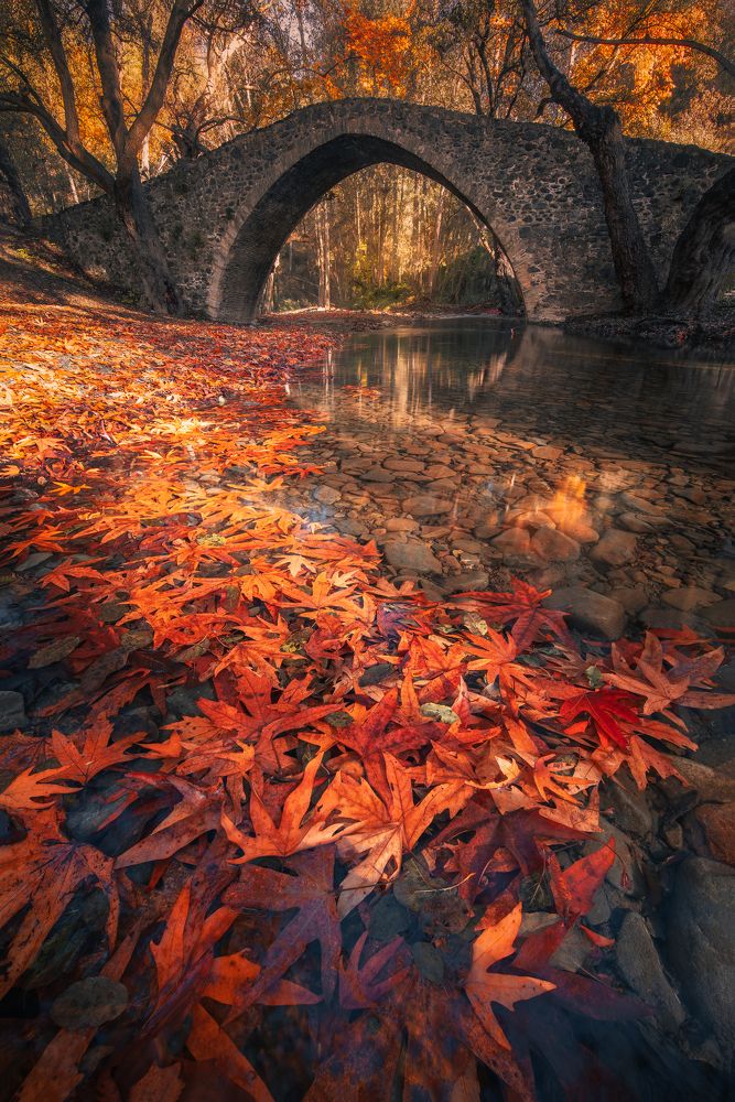 Photograph by Evgeni Fabis