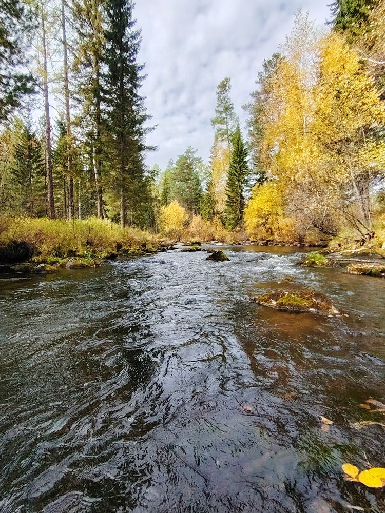 Photo #11073577