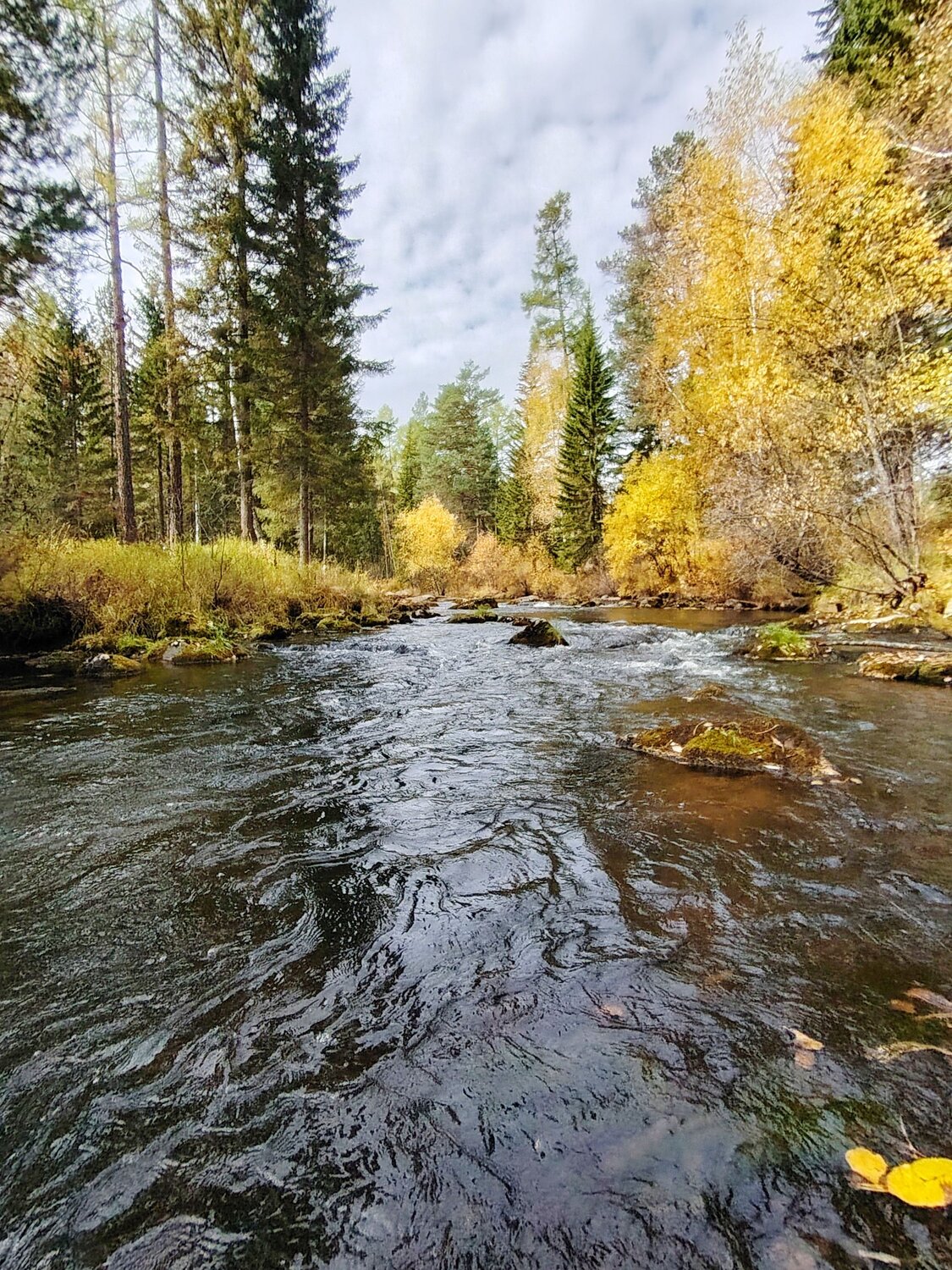 Photo #11073577