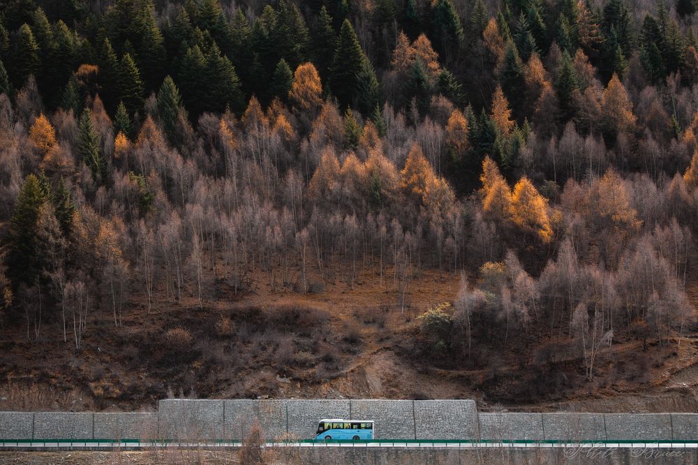 Photograph by Ni Bruce