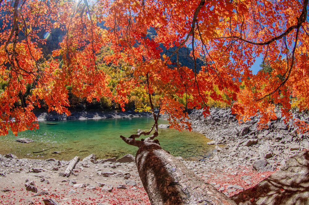 Фотография автора Иван Губский