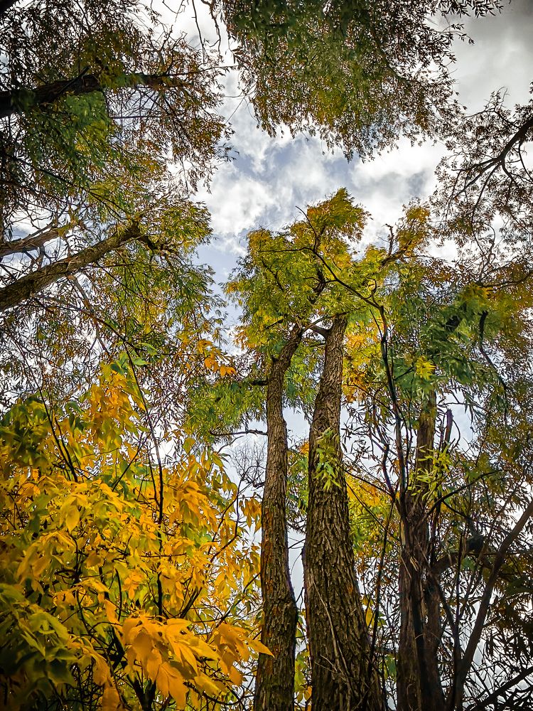 Photograph by Анастасия Никулина