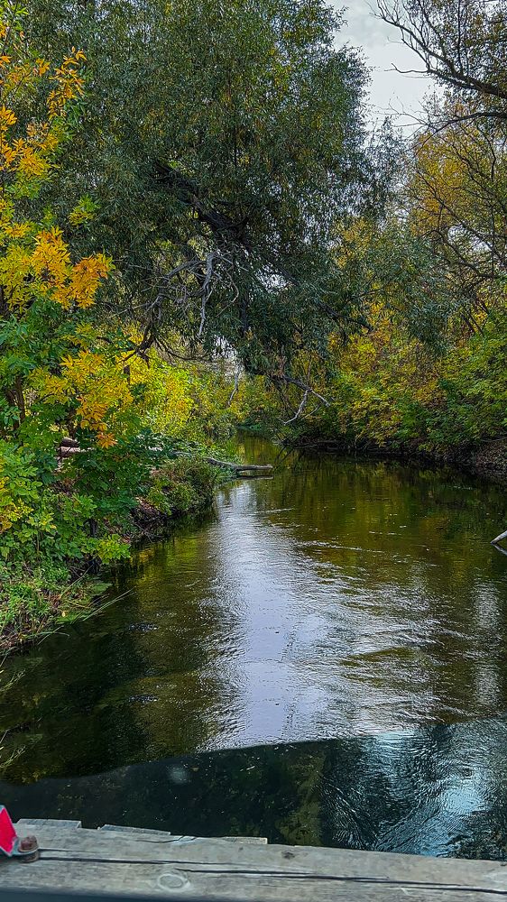 Photograph by Анастасия Никулина