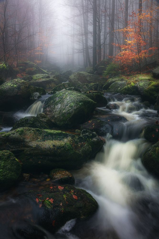 Фотография автора Adam Nedojedlý