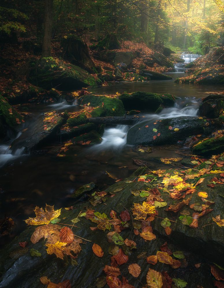 Фотография автора Adam Nedojedlý