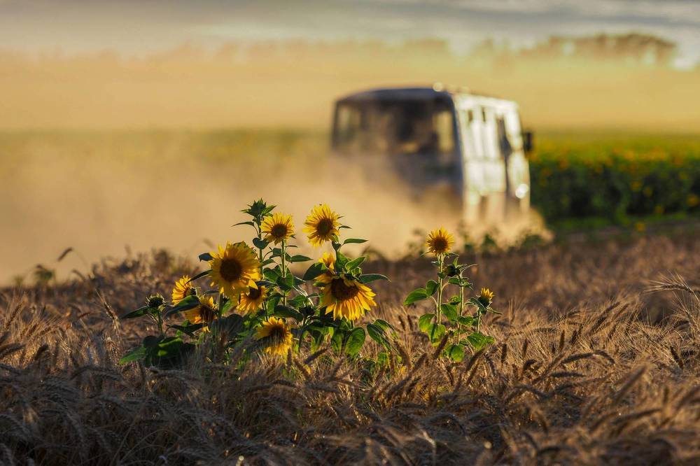 Photograph by Ольга Католичук