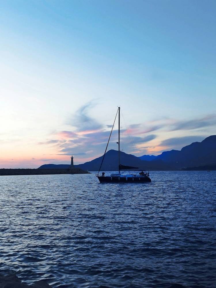 Фотография автора JELENA VASIC