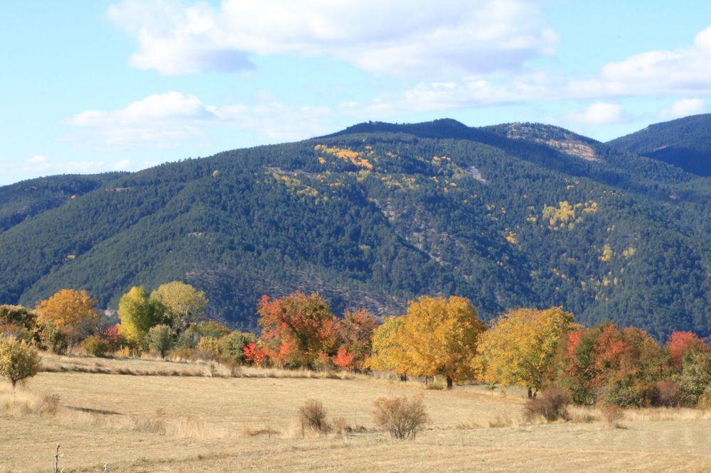 Photograph by Cengiz Yalcin