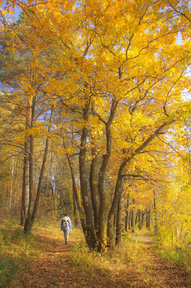 Photograph by Анастасия Северюхина