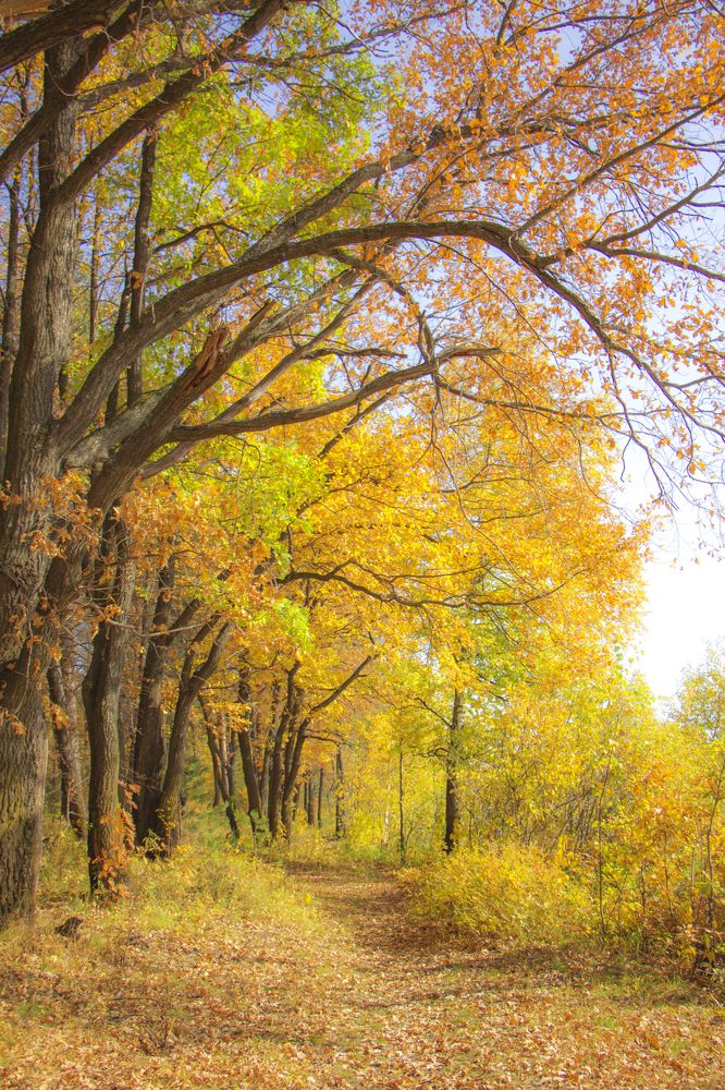 Photograph by Анастасия Северюхина
