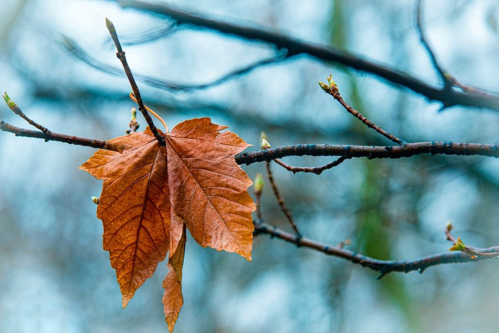 Photograph by Amir Naserkhani