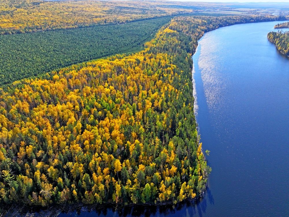Фотография автора Александр Морозов