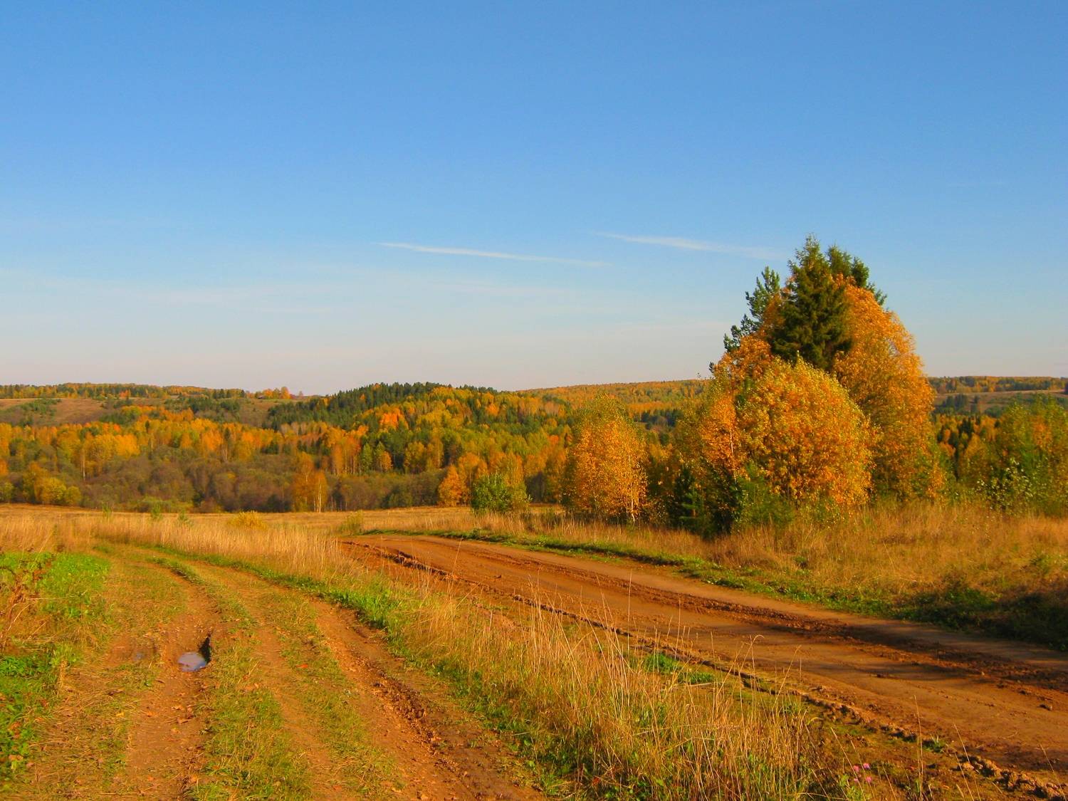 Photo #11073860
