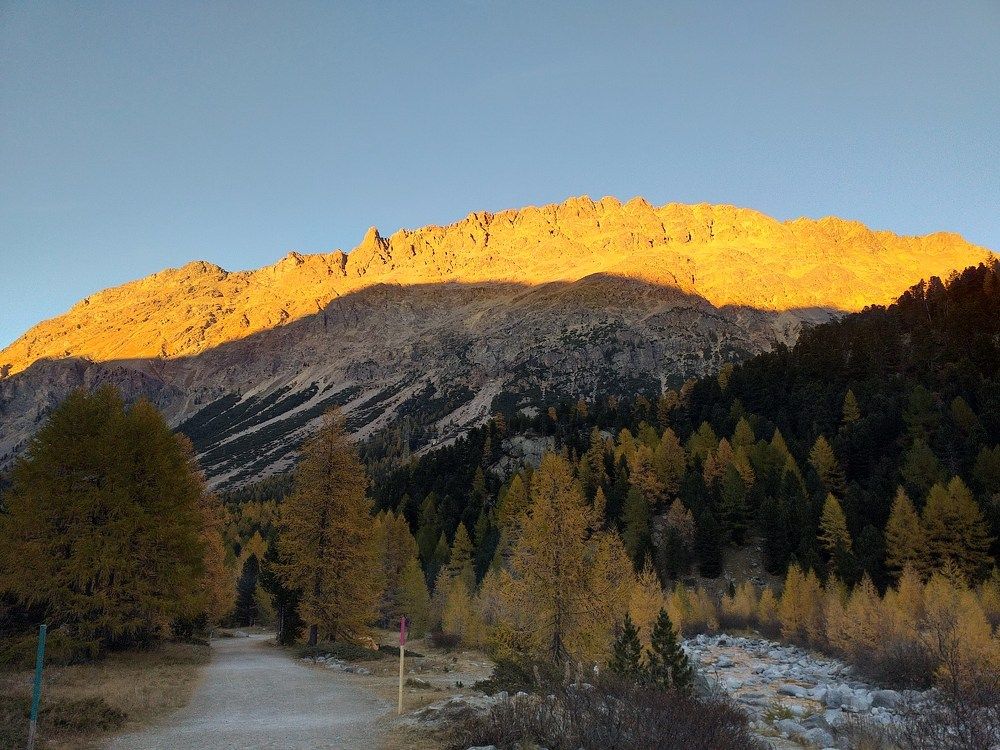 Golden hour in the Alps