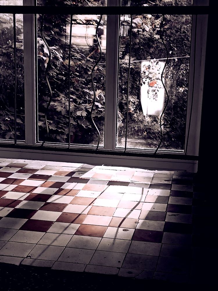 Photograph by Olga Kot