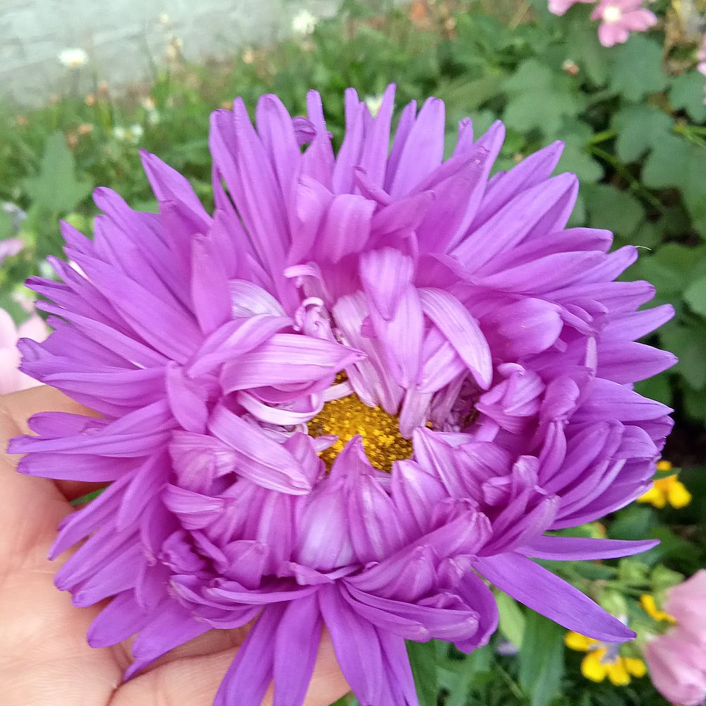 Photograph by Татьяна