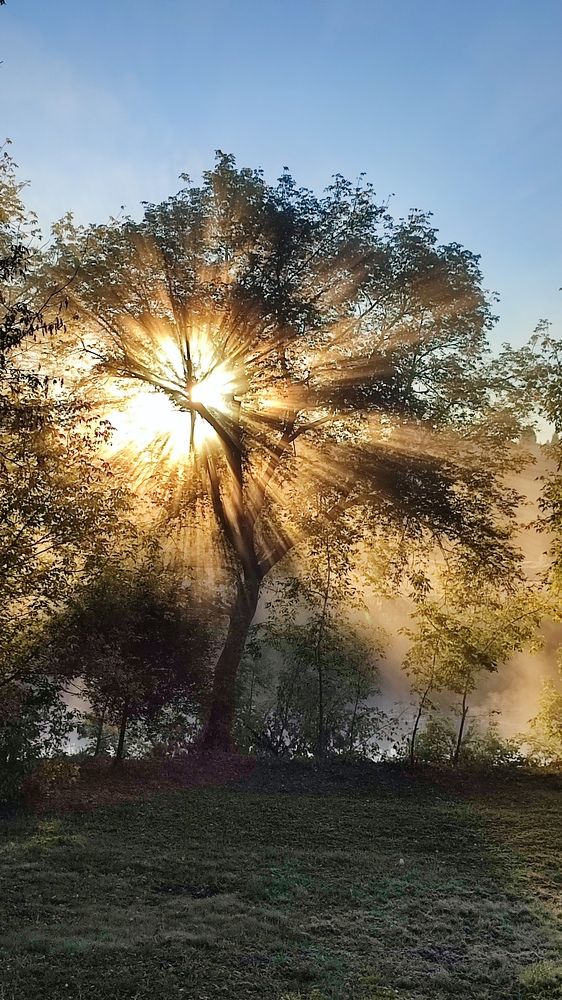 Осеннее утро